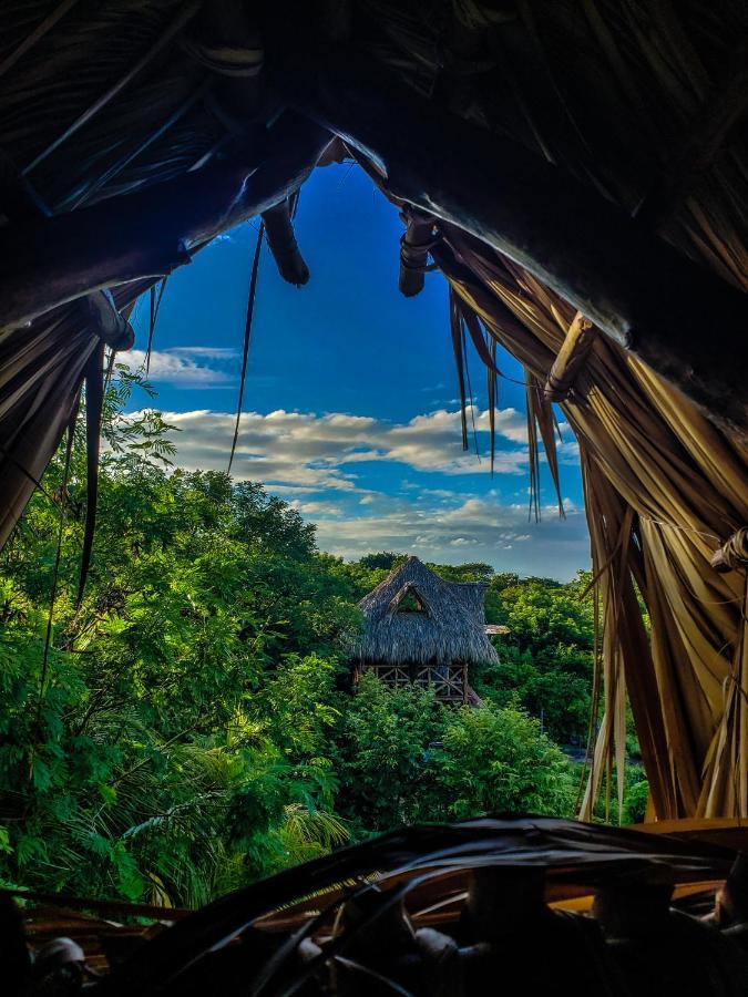 Palapa Hostel Transito Екстериор снимка