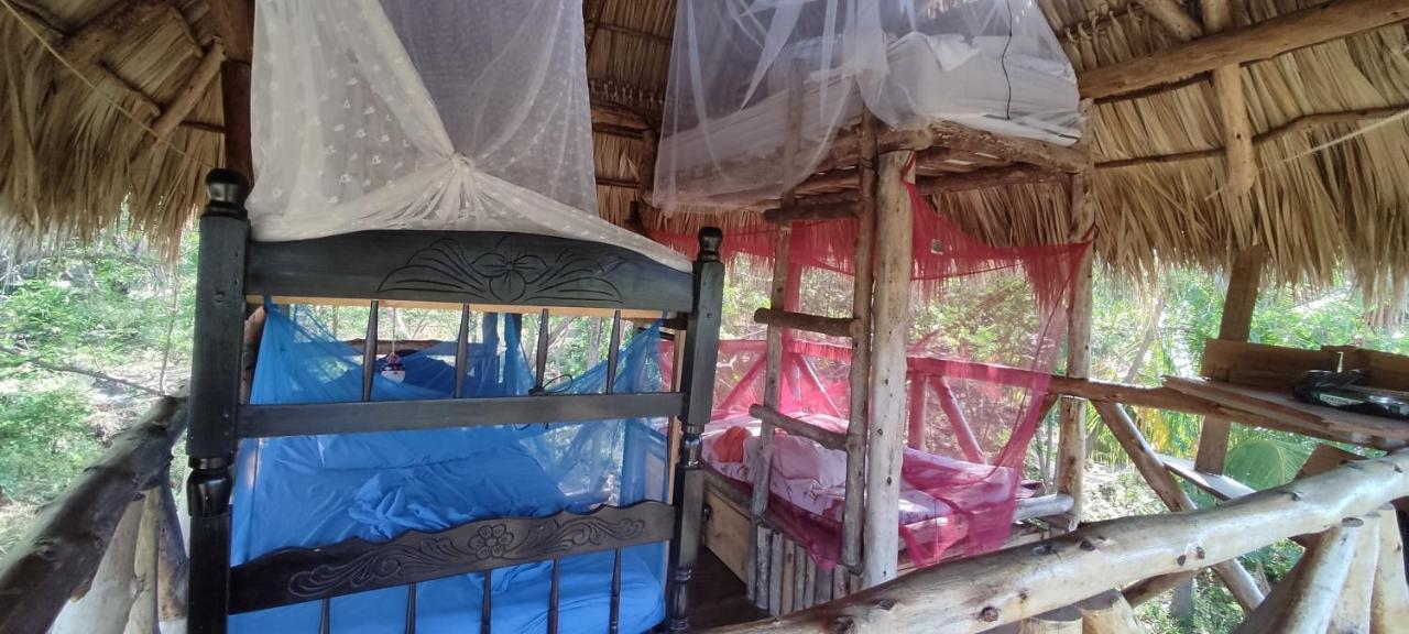 Palapa Hostel Transito Екстериор снимка