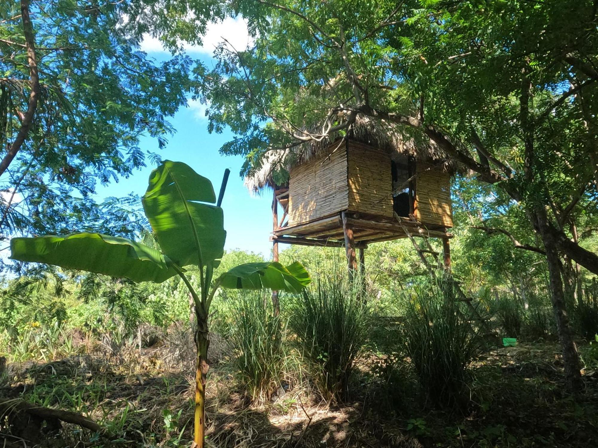 Palapa Hostel Transito Екстериор снимка