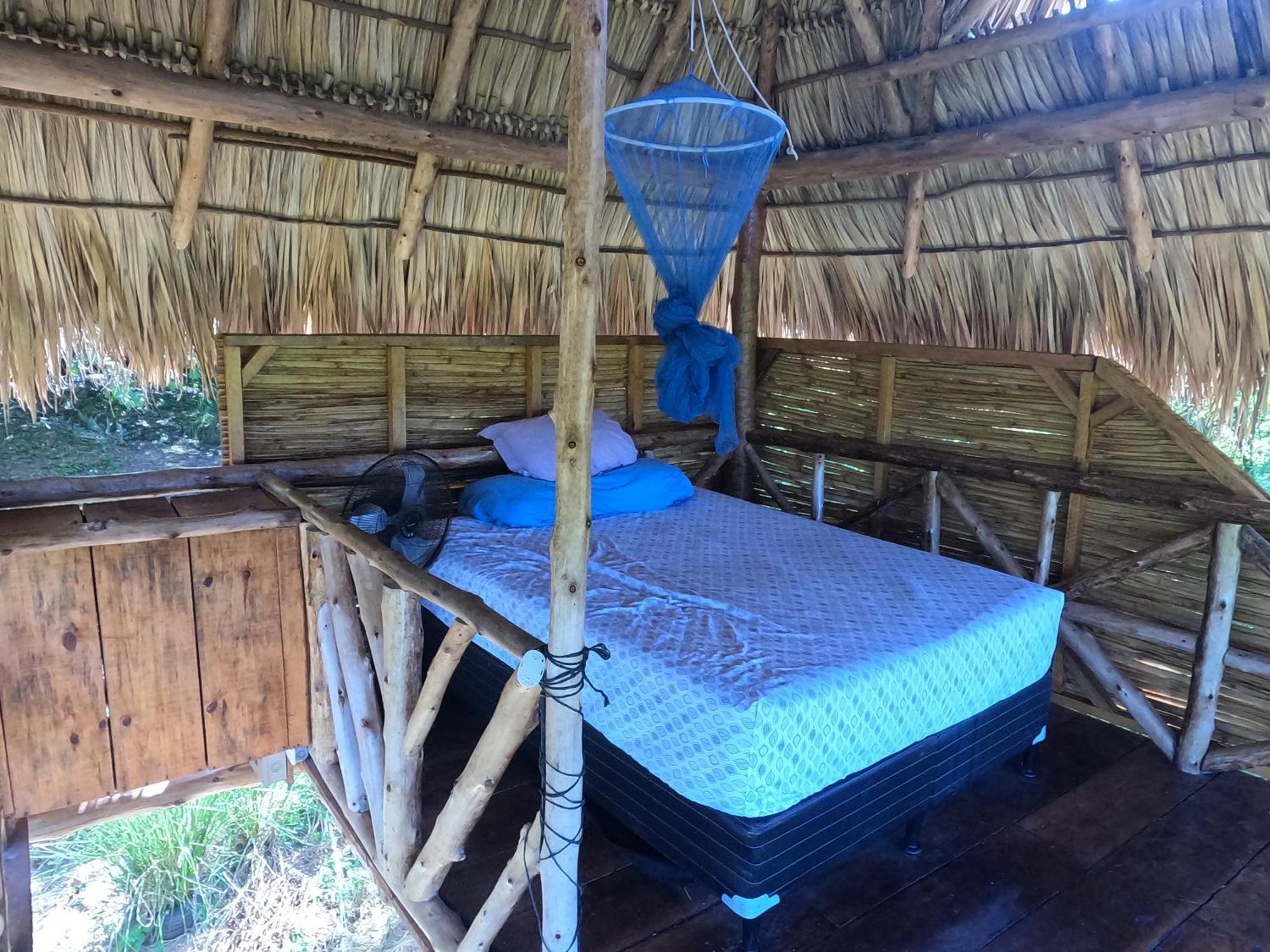 Palapa Hostel Transito Екстериор снимка