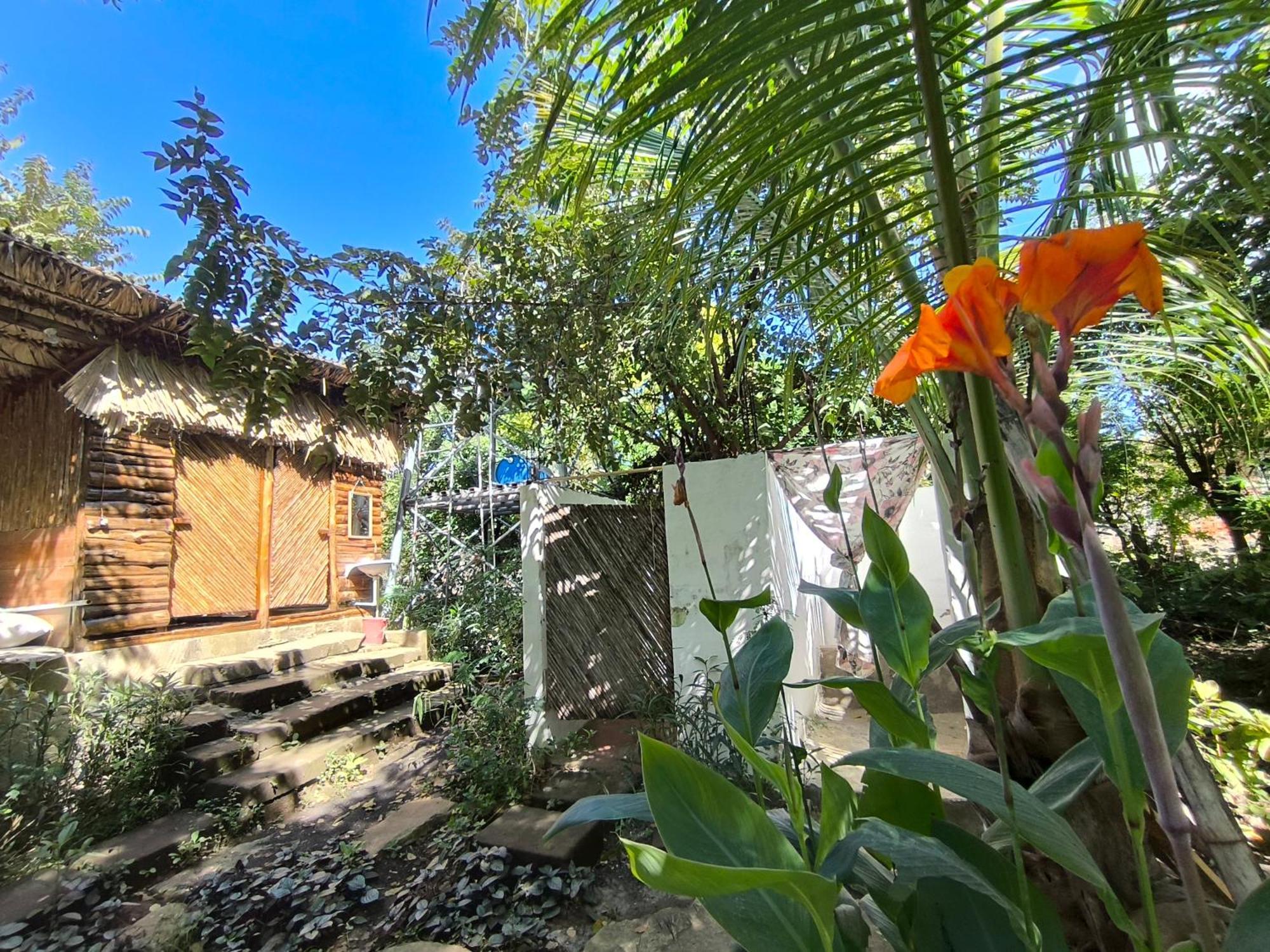 Palapa Hostel Transito Екстериор снимка