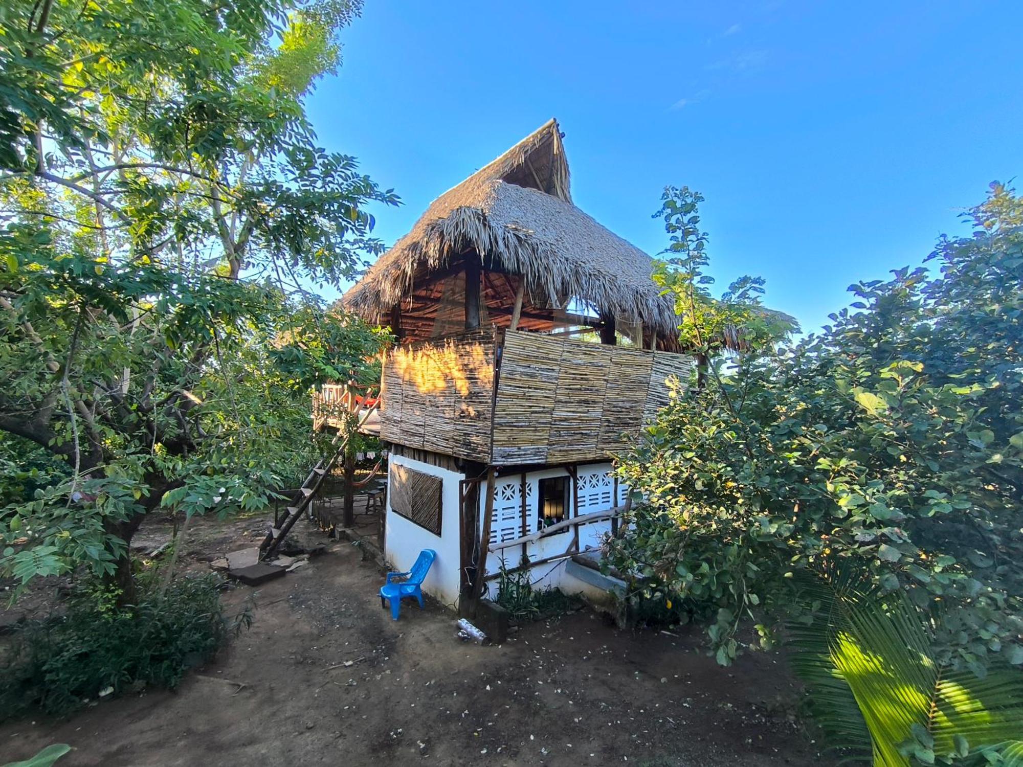 Palapa Hostel Transito Екстериор снимка