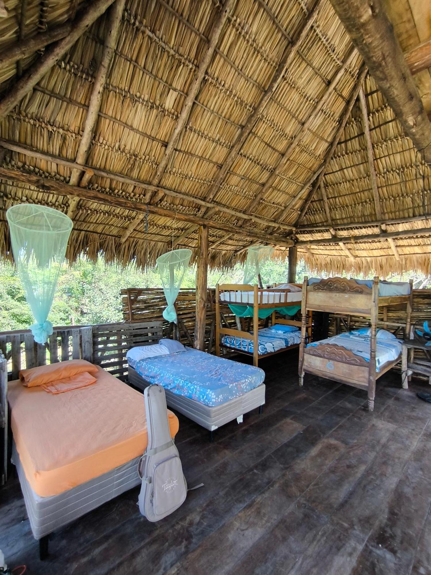 Palapa Hostel Transito Екстериор снимка
