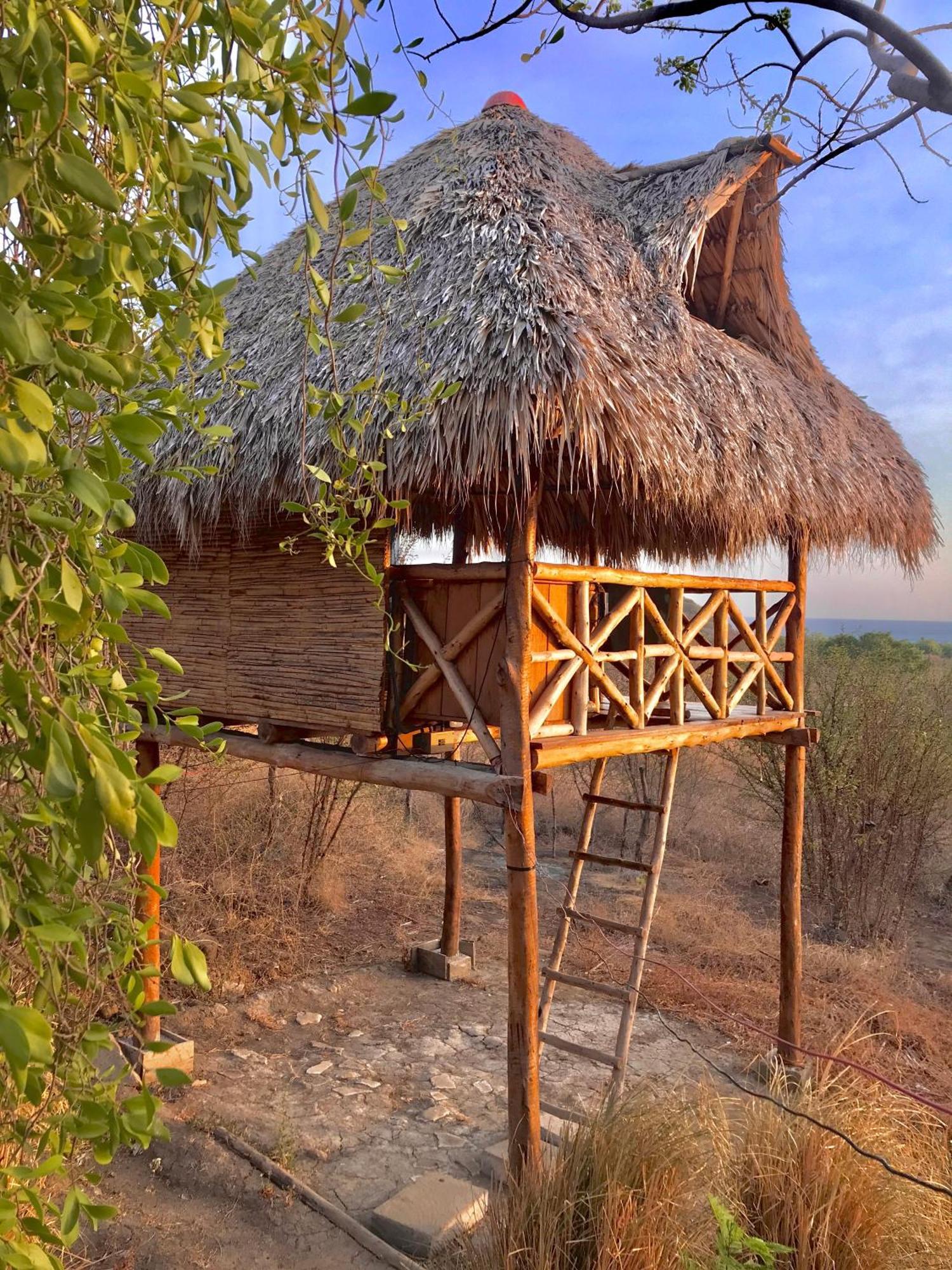 Palapa Hostel Transito Екстериор снимка